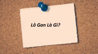 Lô gan là gì? Kinh nghiệm nuôi lô gan có lãi trong lô đề